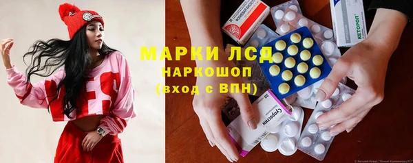 ПСИЛОЦИБИНОВЫЕ ГРИБЫ Верея